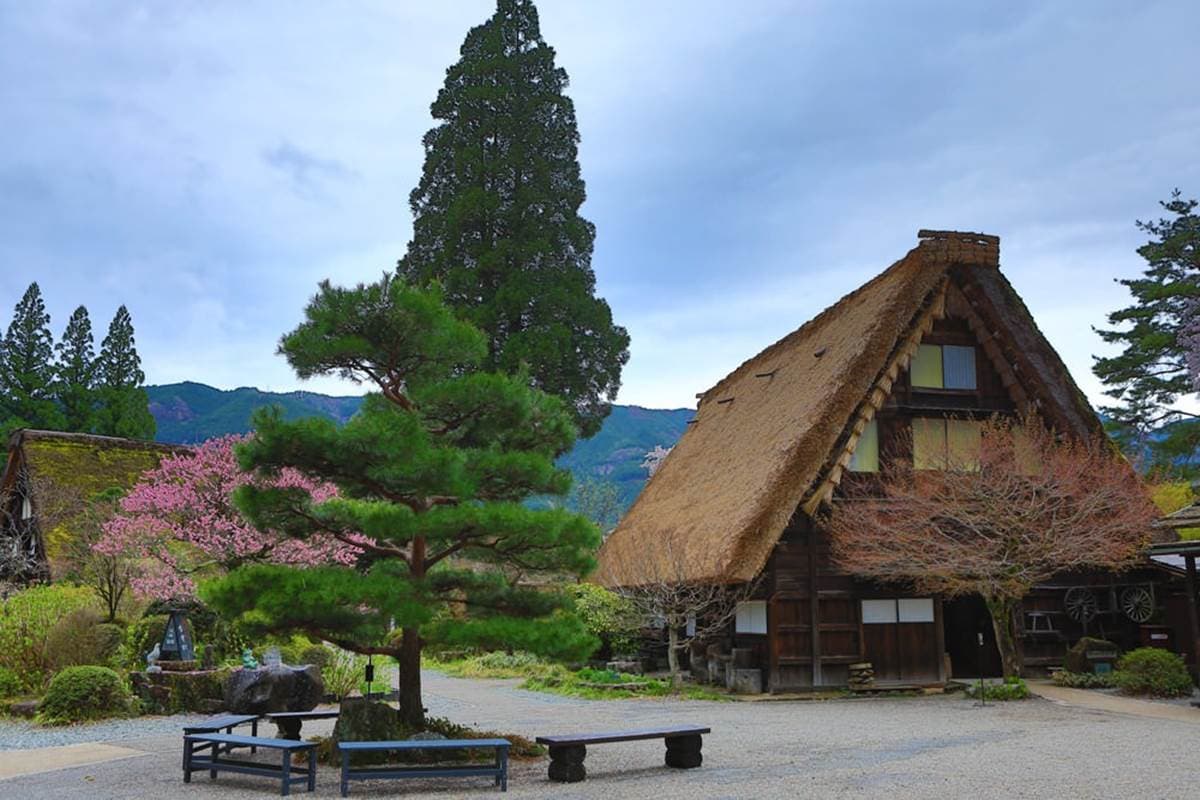 親子寒假泡湯預備!童話村免費足湯泡到飽,再衝175公尺刺激「森林溜滑梯」 親子寒假泡湯預備!童話村免費足湯泡到飽,再衝175公尺刺激「森林溜滑梯」