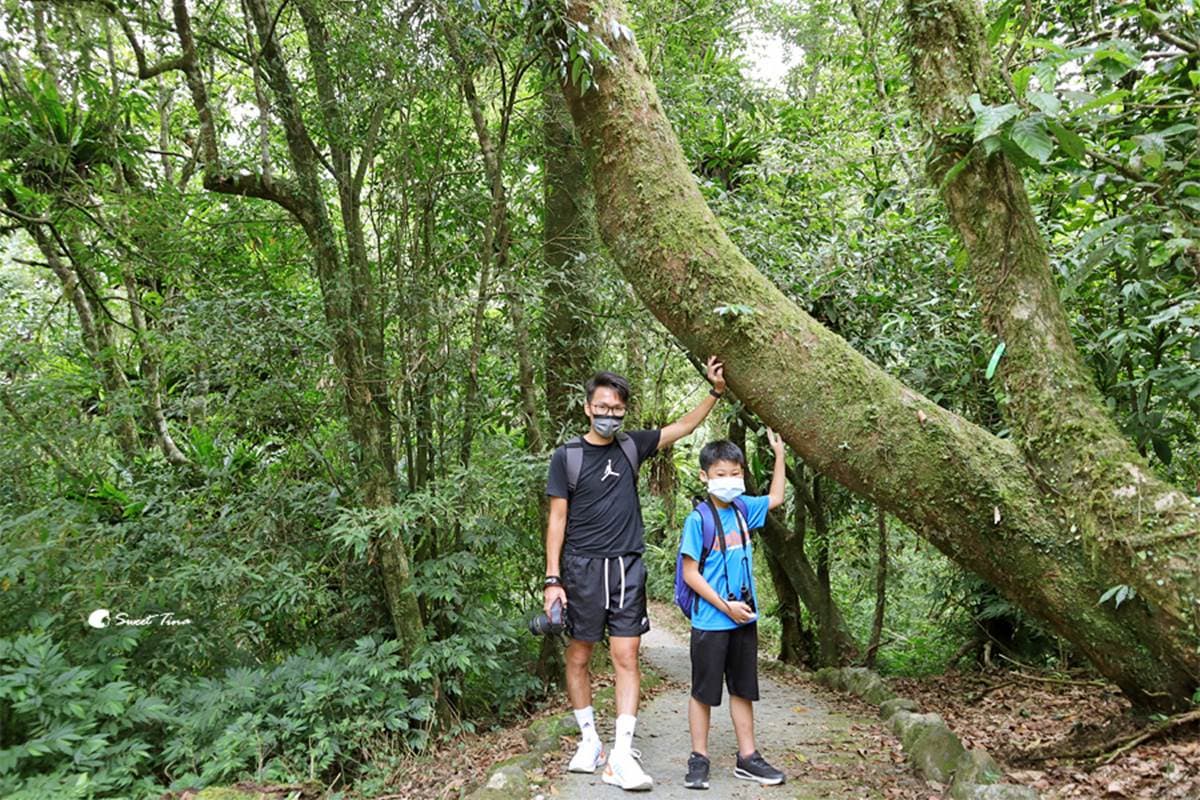 免門票「亞洲最大植物園」在這!搶拍絕美水生池、近距離賞山羌,想去先預約 宜蘭景點:福山植物園