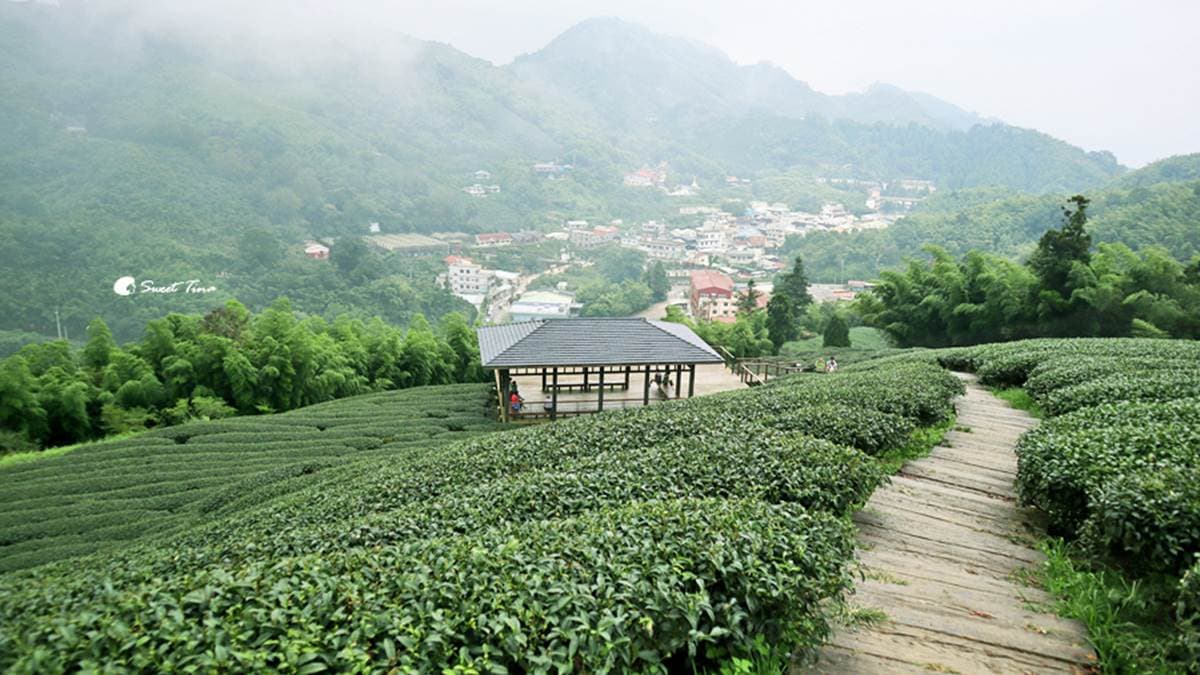 雲之南道步道 img