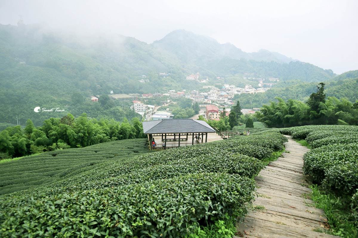 別只去阿里山!嘉義梅山12大祕境:最美茶園步道、台版九寨溝、海拔最高吊橋 別只去阿里山!嘉義梅山12大祕境:最美茶園步道、台版九寨溝、海拔最高吊橋
