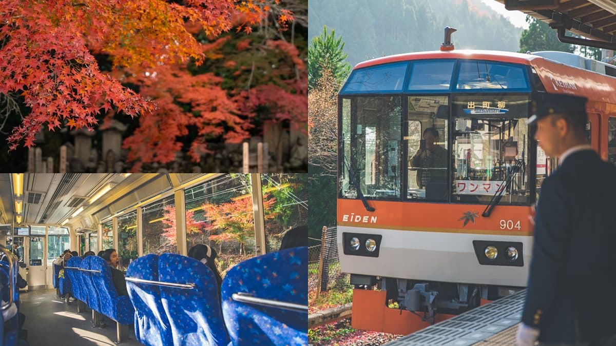 京都賞楓避開人潮!達人教「1路公車」祕境看到飽,「最佳觀賞時機」也曝光