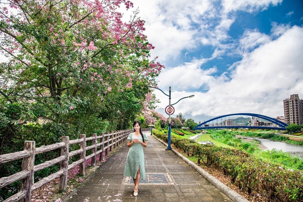 秋限定「賞櫻步道祕境」藏在這!上百株「美人樹」粉嫩大爆發,11月前免費拍 秋限定「賞櫻步道祕境」藏在這!上百株「美人樹」粉嫩大爆發,11月前免費拍