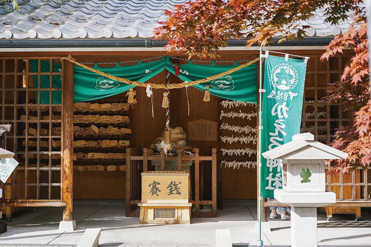 別只去箱根!日本「3大名湯之一」竟藏「青蛙神社」,9處免費足湯泡到爽 別只去箱根!日本「3大名湯之一」竟藏「青蛙神社」,9處免費足湯泡到爽