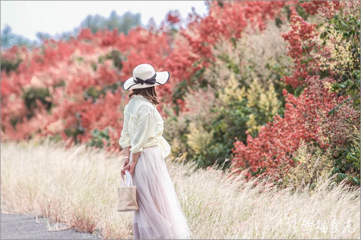 秋限定「火紅巨龍」步道在嘉義!6米長鮮紅欒樹+芒草美翻,10月底前快朝聖 秋限定「火紅巨龍」步道在嘉義!6米長鮮紅欒樹+芒草美翻,10月底前快朝聖