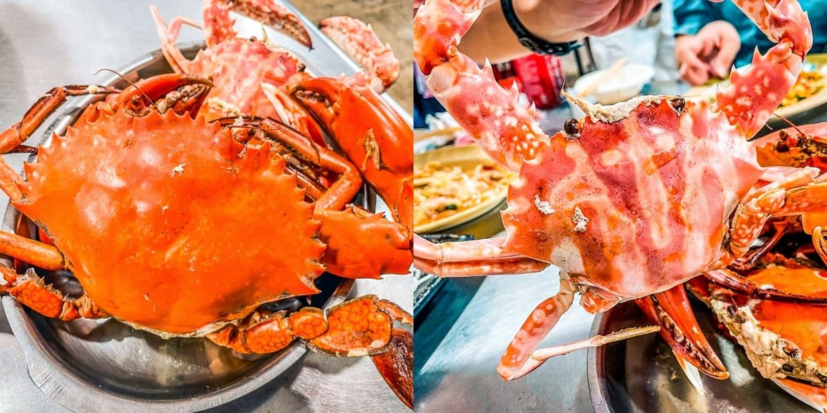 95元起吃爆螃蟹季!全台8大螃蟹名店:火鍋吃到飽、排隊萬里蟹、爆蛋紅蟳麵 95元起吃爆螃蟹季!全台8大螃蟹名店:火鍋吃到飽、排隊萬里蟹、爆蛋紅蟳麵