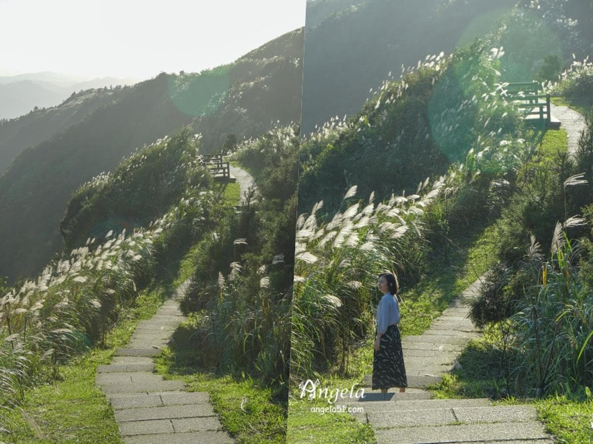 錯過等明年!秋限定雙北4處「芒草步道」:陽明山S型雪白祕境、台版小長城 錯過等明年!秋限定雙北4處「芒草步道」:陽明山S型雪白祕境、台版小長城
