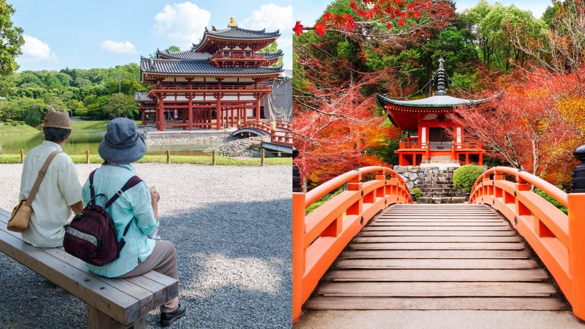 60歲達人親授!熟齡「日本自由行」6大注意,擔心便祕就用「1招」搞定