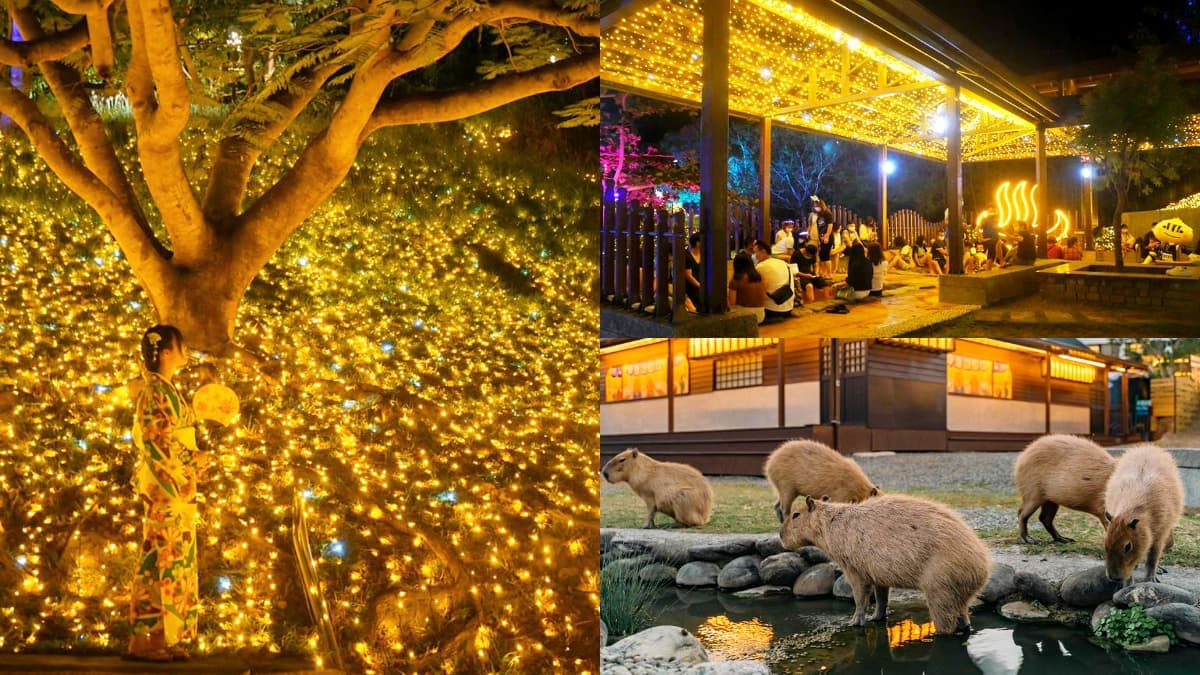 全台最南燈會「這天」登場!搶拍絕美燈飾、體驗全新煮蛋池,再近距離餵水豚