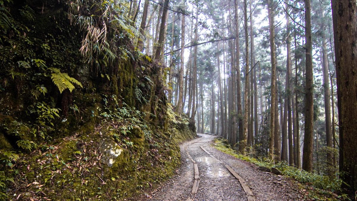 特富野古道