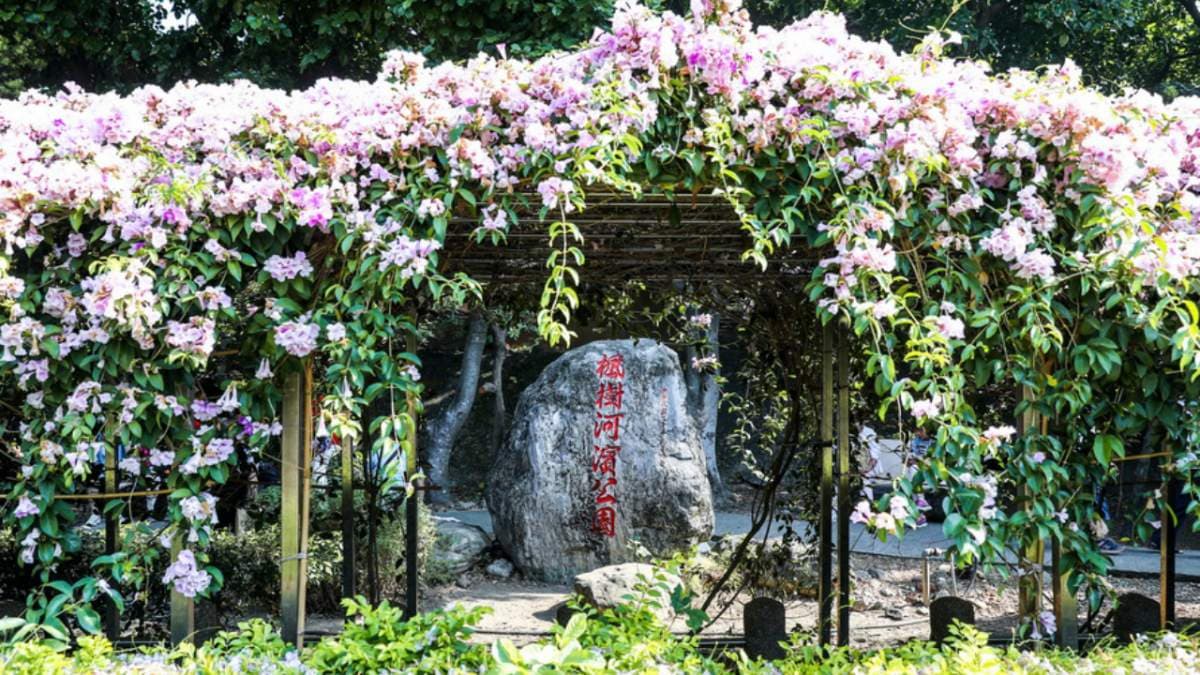 楓樹河濱公園