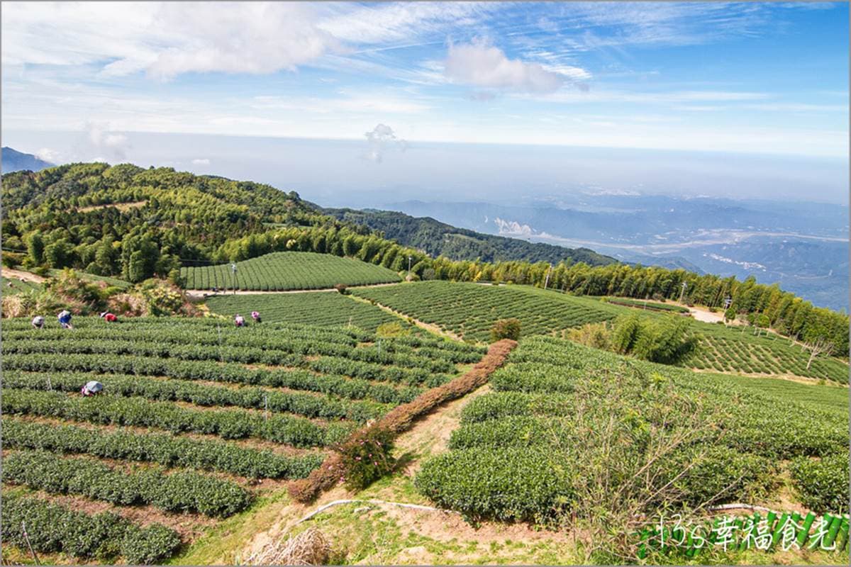 雲林免費景點推薦TOP12:飛天鵝溜滑梯、彩色松鼠公園、1秒飛泰國的台版大皇宮 雲林親子景點推薦:雲嶺之丘