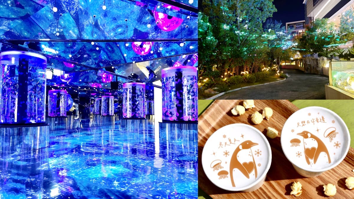 買門票免費喝企鵝拿鐵!Xpark「水母萬花筒」飄白雪美翻,雙11開跑拍到手軟