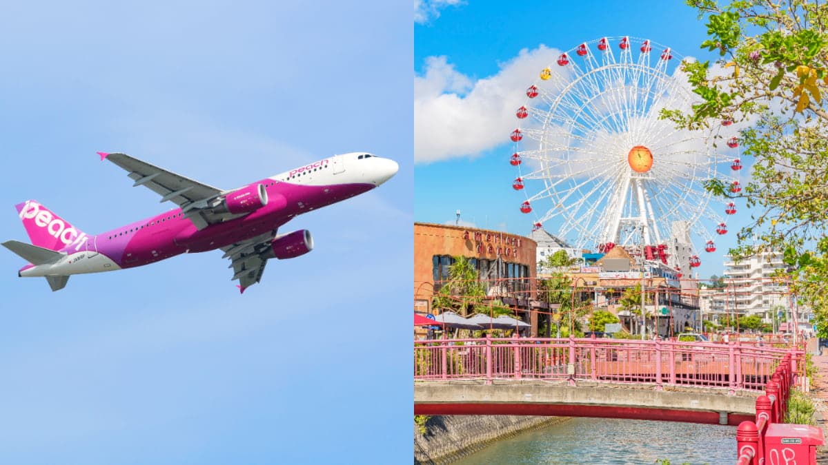 飛日本最低1611元起!樂桃航空「最狂雙11優惠」今晚開賣,只有3天快訂票