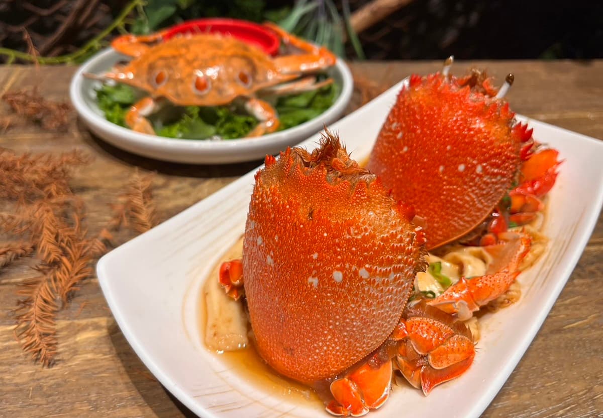 11元爽吃三點蟹!港點吃到飽推雙11優惠,還有「酸菜魚鍋物」大雪蟹只要111元 11元爽吃三點蟹!港點吃到飽推雙11優惠,還有「酸菜魚鍋物」大雪蟹只要111元