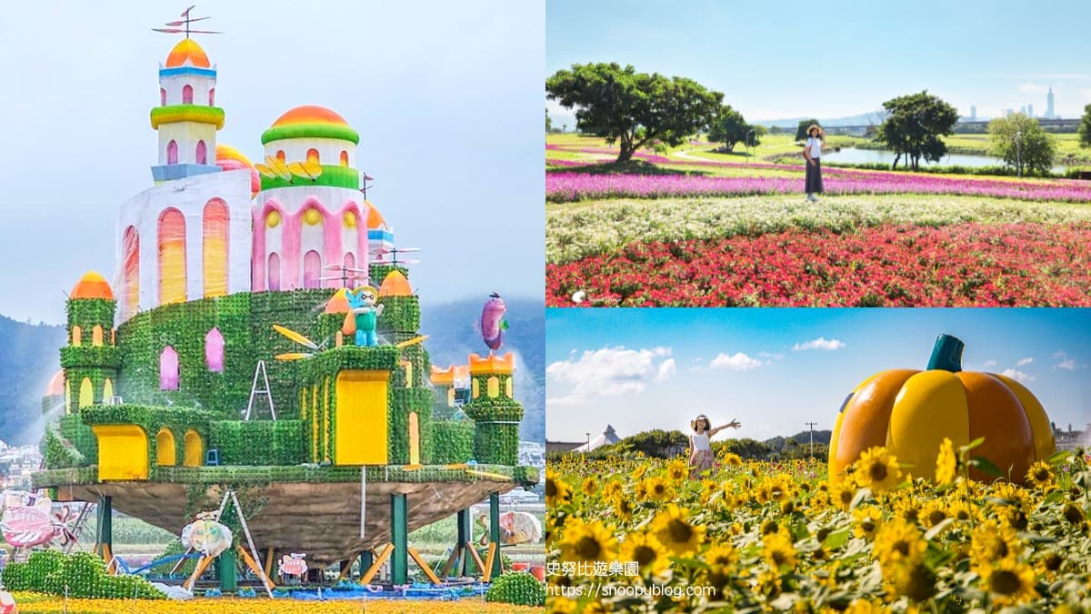 花仙子免費拍到飽!2023秋冬最美花海TOP6:漂浮花花城堡、6萬坪童話花田