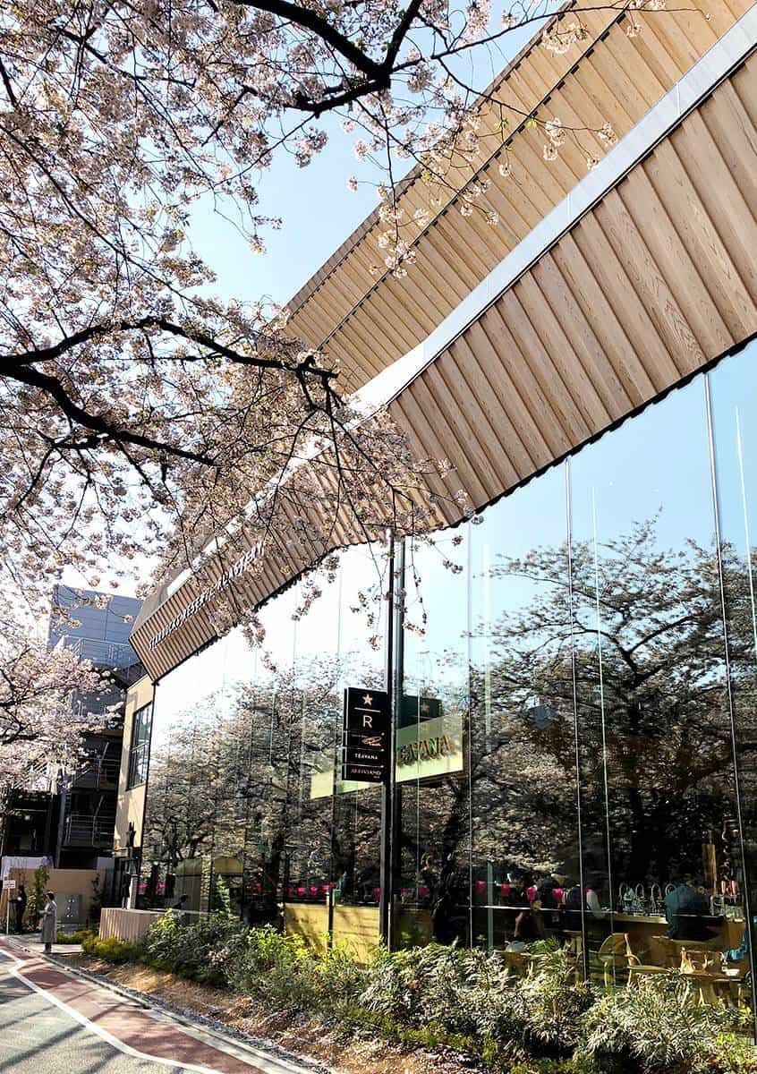 東京最美星巴克!人曾多到要抽號碼牌進入,春季賞花入坐「櫻景第一排」美爆 東京最美星巴克!人曾多到要抽號碼牌進入,春季賞花入坐「櫻景第一排」美爆