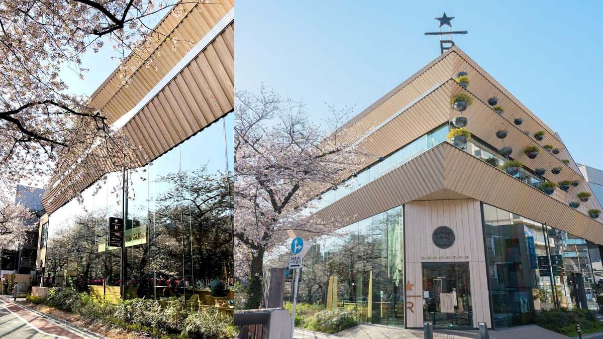 東京最美星巴克!人曾多到要抽號碼牌進入,春季賞花入坐「櫻景第一排」美爆