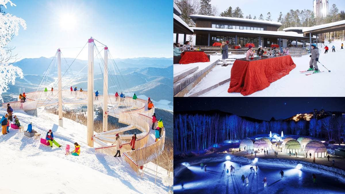 玩雪、泡湯、美食全包!日本「星野滑雪度假村」,霧冰絕景網列「此生必看」