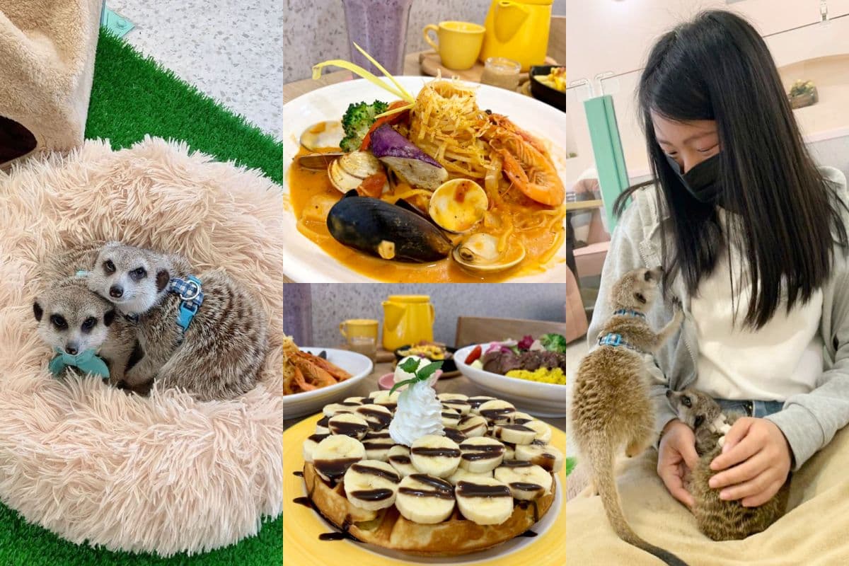 2026台北餐廳地圖,踩點米其林餐廳、約會聚餐、吃到飽、捷運站美食 2026台北餐廳地圖,踩點米其林餐廳、約會聚餐、吃到飽、捷運站美食