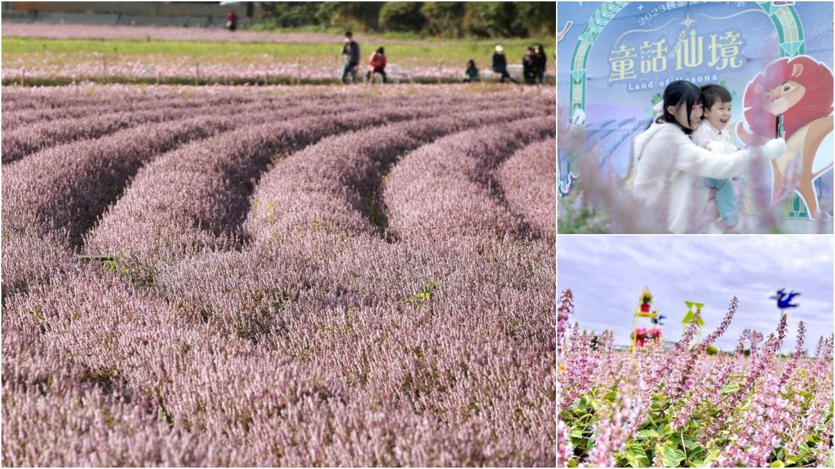 免費拍紫爆「台版普羅旺斯」!「桃園仙草嘉年華」週末登場,童話主題超夢幻