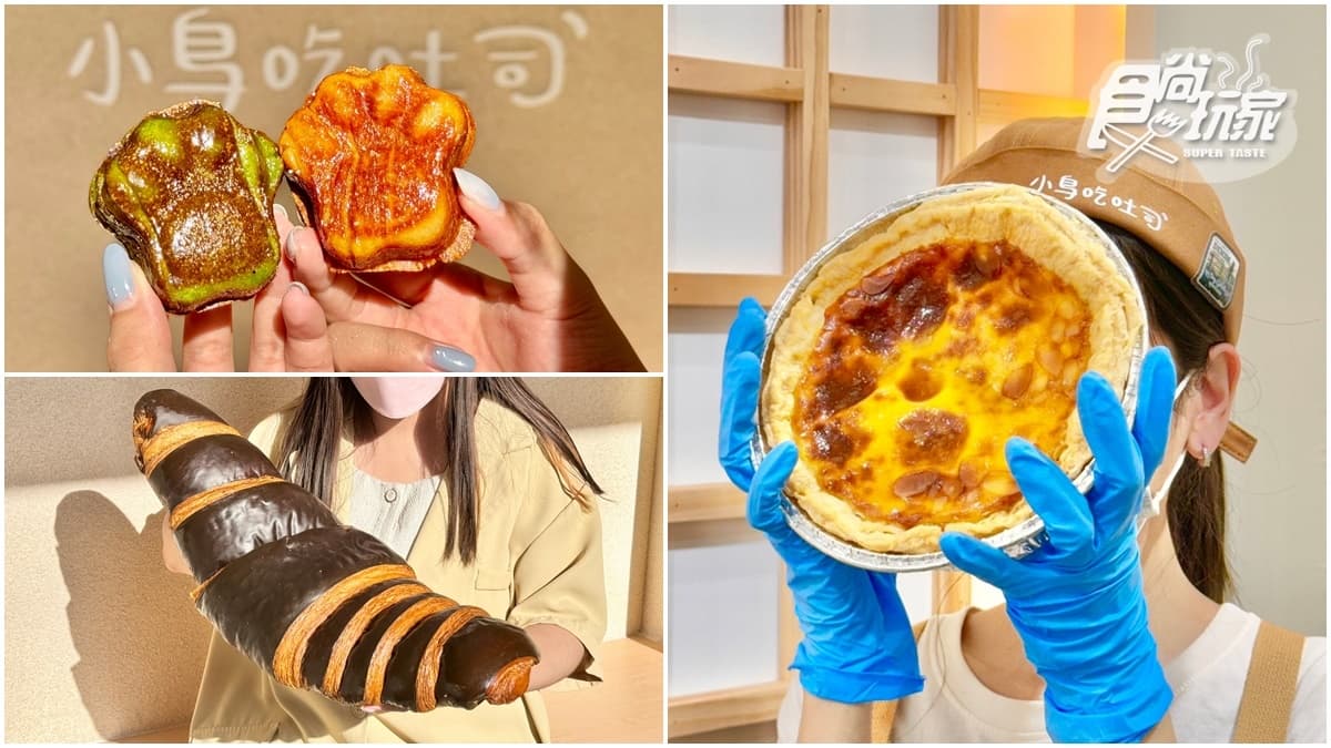 比臉大蛋撻開賣!小鳥吃吐司改裝「買一送一」,必買韓國可頌餅乾、巨型可頌