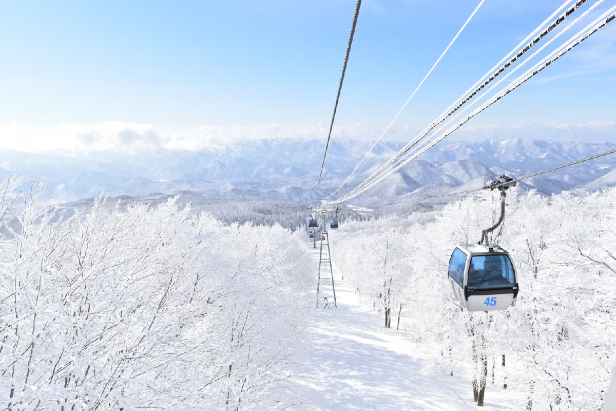 最美雪國列車!日本秋田必玩鐵道旅行,還可樹冰中滑雪、訪400年小京都 最美雪國列車!日本秋田必玩鐵道旅行,還可樹冰中滑雪、訪400年小京都