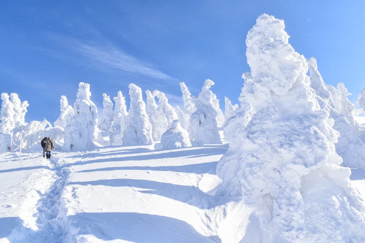 最美雪國列車!日本秋田必玩鐵道旅行,還可樹冰中滑雪、訪400年小京都 最美雪國列車!日本秋田必玩鐵道旅行,還可樹冰中滑雪、訪400年小京都