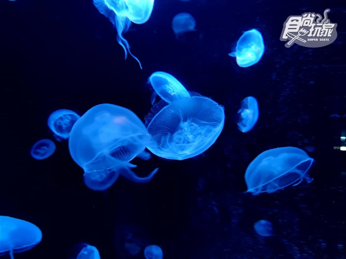 到鬼怪故鄉5體驗!日本秋田「男鹿半島」體驗生剝鬼嚇人、泡千年名湯(中獎公布) 到鬼怪故鄉5體驗!日本秋田「男鹿半島」體驗生剝鬼嚇人、泡千年名湯(中獎公布)