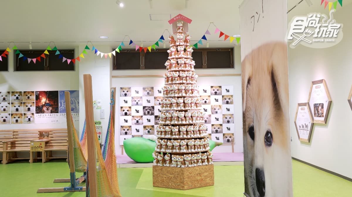 跟超憨秋田犬交朋友!日本秋田超酷親子遊5推薦:DIY烤米棒、嗨玩竿燈(中獎公布) 跟超憨秋田犬交朋友!日本秋田超酷親子遊5推薦:DIY烤米棒、嗨玩竿燈(中獎公布)