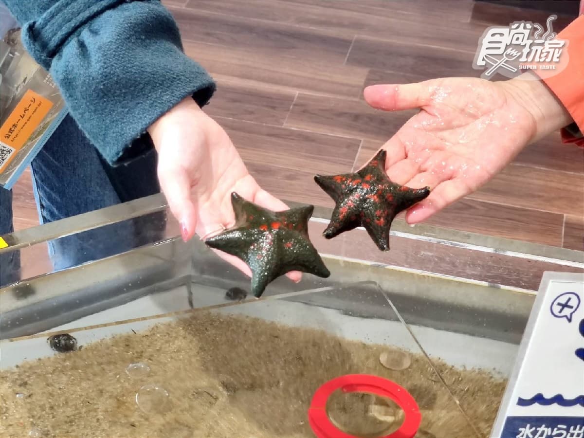 跟超憨秋田犬交朋友!日本秋田超酷親子遊5推薦:DIY烤米棒、嗨玩竿燈(中獎公布) 跟超憨秋田犬交朋友!日本秋田超酷親子遊5推薦:DIY烤米棒、嗨玩竿燈(中獎公布)