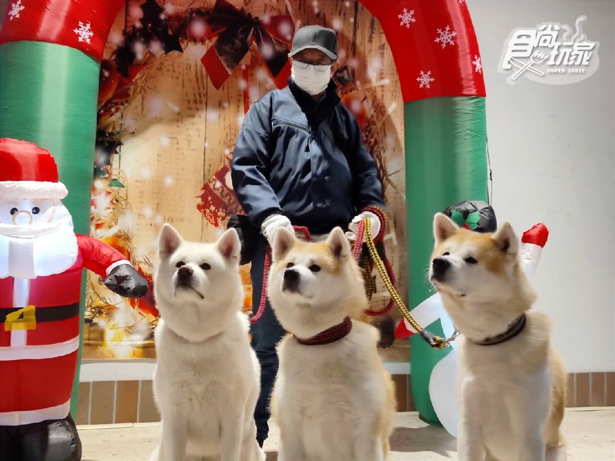 跟超憨秋田犬交朋友!日本秋田超酷親子遊5推薦:DIY烤米棒、嗨玩竿燈(中獎公布) 跟超憨秋田犬交朋友!日本秋田超酷親子遊5推薦:DIY烤米棒、嗨玩竿燈(中獎公布)