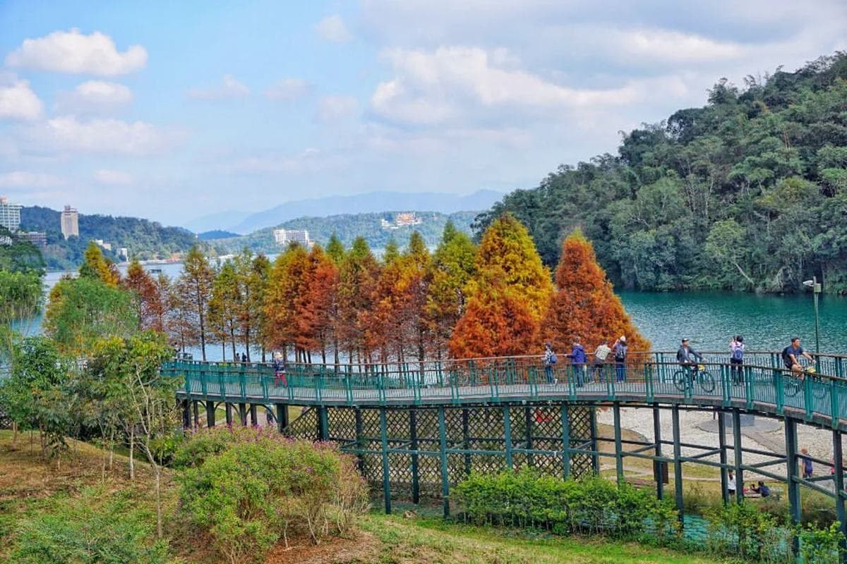 即時美景報你知!全台最美漸層落羽松TOP10:4萬坪莊園祕境、夢幻湖泊倒影 即時美景報你知!全台最美漸層落羽松TOP10:4萬坪莊園祕境、夢幻湖泊倒影