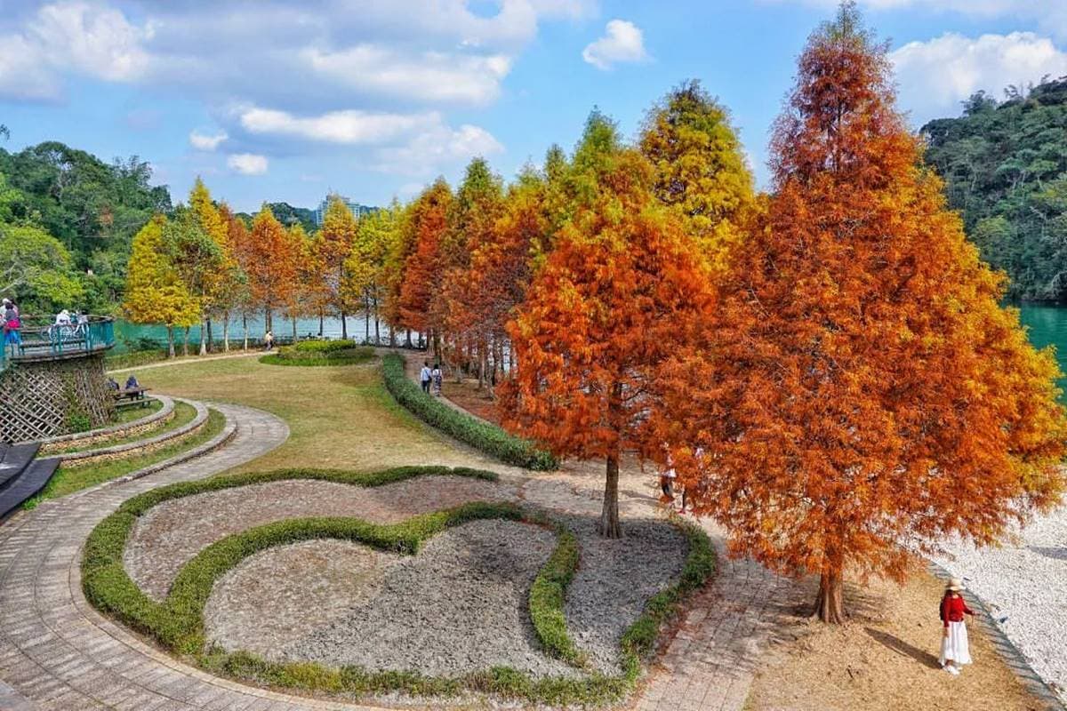即時美景報你知!全台最美漸層落羽松TOP10:4萬坪莊園祕境、夢幻湖泊倒影 即時美景報你知!全台最美漸層落羽松TOP10:4萬坪莊園祕境、夢幻湖泊倒影