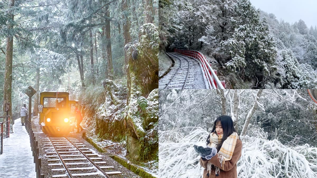 宜蘭太平山下雪啦!觀景台、火車鐵軌積雪秒變「雪白仙境」,追雪族快朝聖