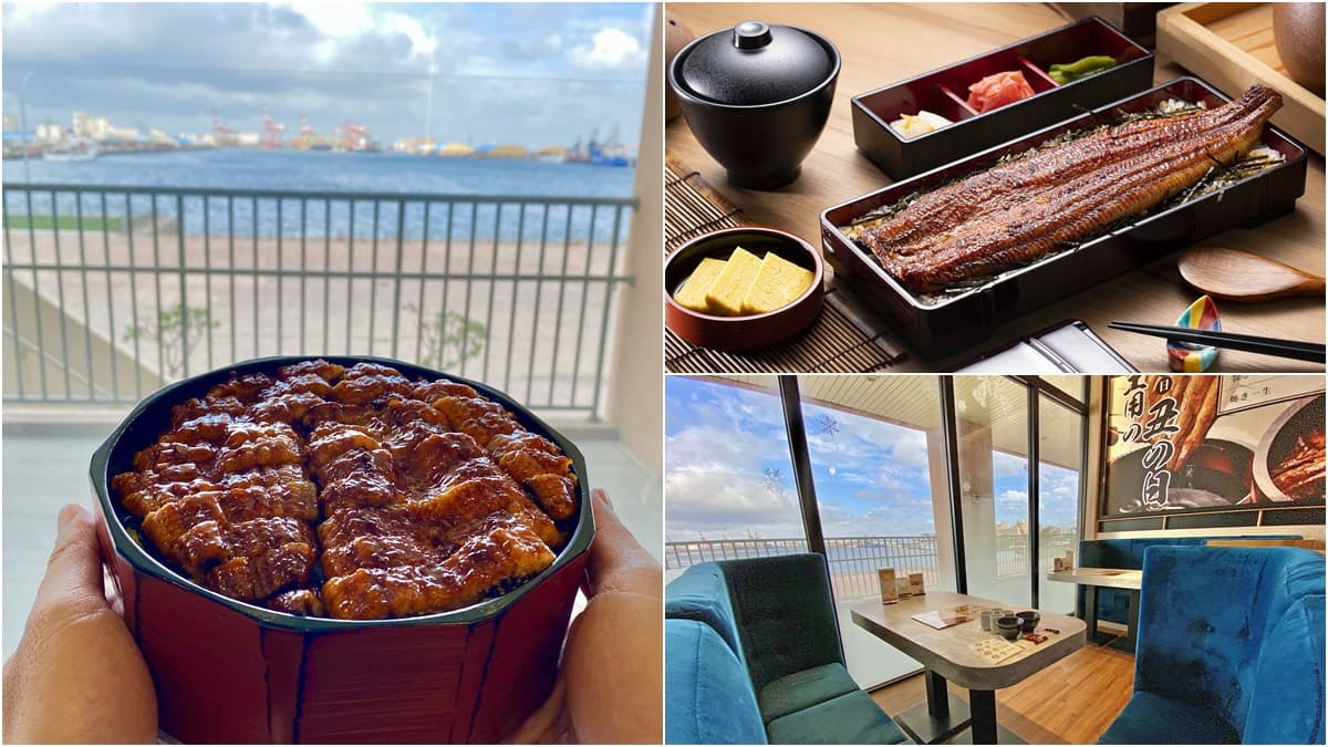 全台唯一「海景鰻魚飯」!打卡摩天輪海景,鰻魚可樂買一送一、炸物拼盤5折