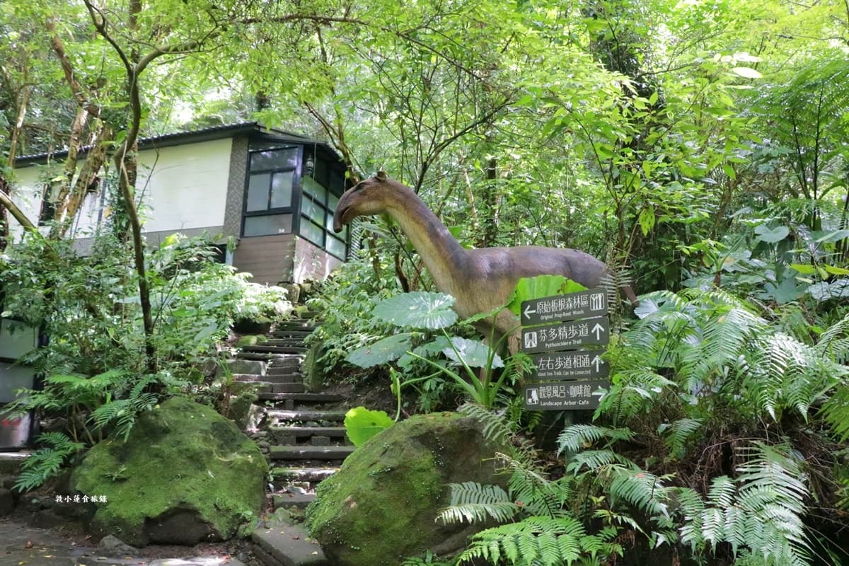台北溫泉住宿「三峽大板根森林溫泉酒店」,SPA、交通、優惠看這 台北溫泉住宿「三峽大板根森林溫泉酒店」,SPA、交通、優惠看這