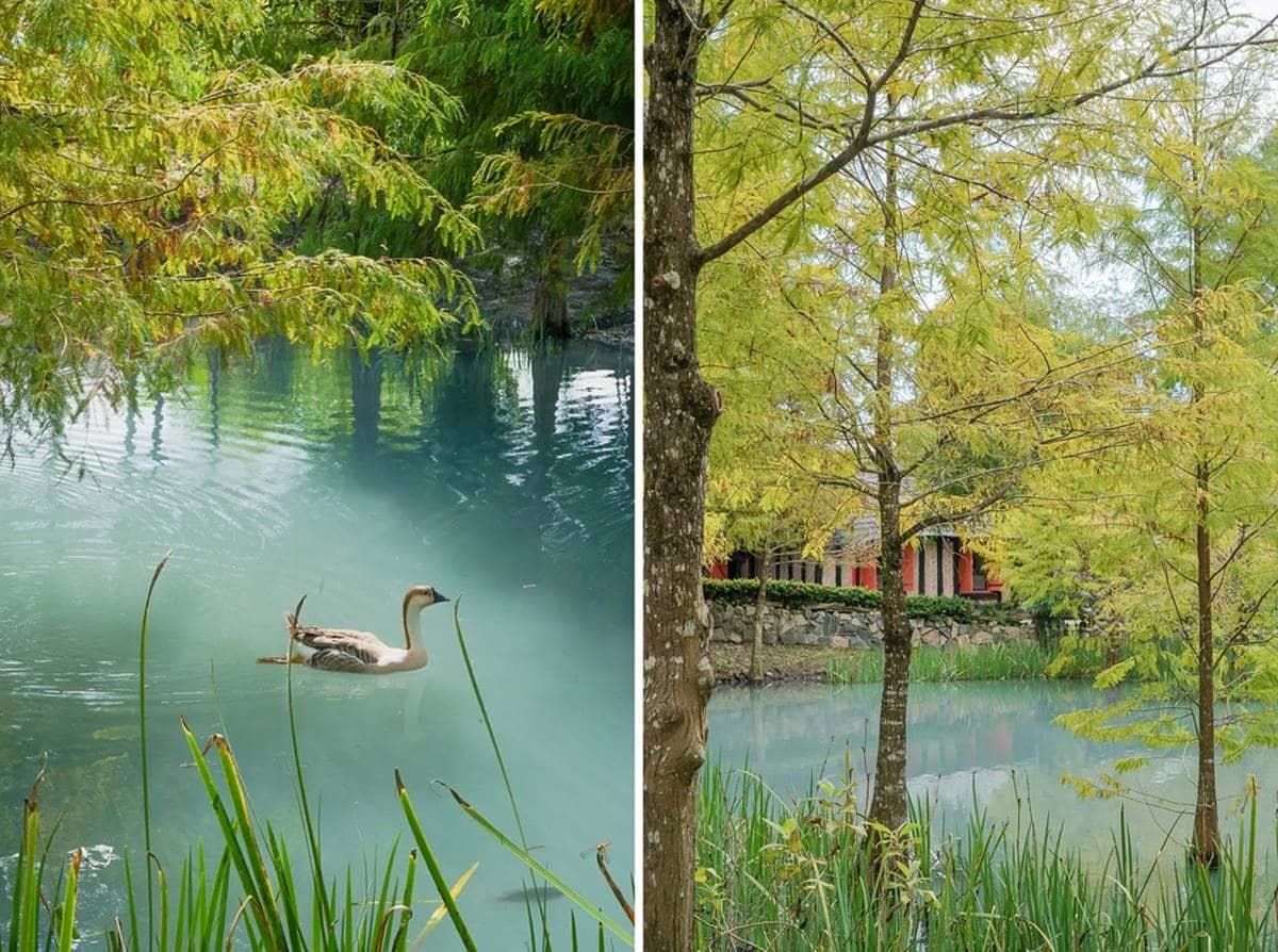 「台版霍爾移動城堡」藏在這!歪斜磚瓦屋神還原,寶藍湖畔+落羽松拍到飽 「台版霍爾移動城堡」藏在這!歪斜磚瓦屋神還原,寶藍湖畔+落羽松拍到飽