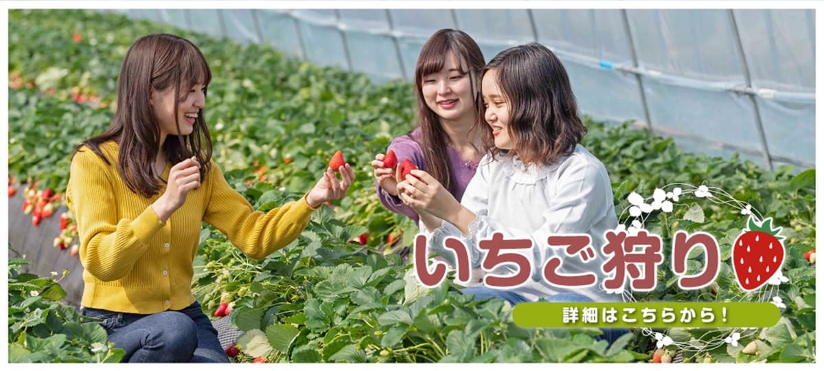 2024日本旅館百選出爐!奪冠「這間」台灣也有,最好逛名產店竟在沖繩 2024日本旅館百選出爐!奪冠「這間」台灣也有,最好逛名產店竟在沖繩