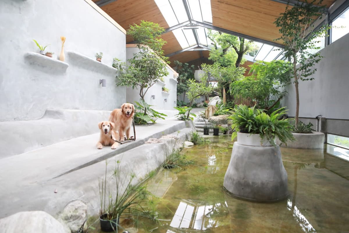 睡在雨林裡的樹屋!開箱宜蘭礁溪「祕境溫泉民宿」,一泊二食、泡湯泡到飽 睡在雨林裡的樹屋!開箱宜蘭礁溪「祕境溫泉民宿」,一泊二食、泡湯泡到飽