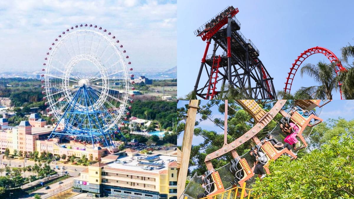 對身分證生肖「屬龍」站出來!最低113元玩翻3大樂園,3類人享半價入園