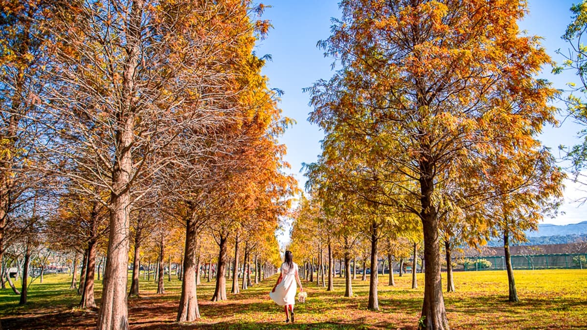 大溪河濱公園 img