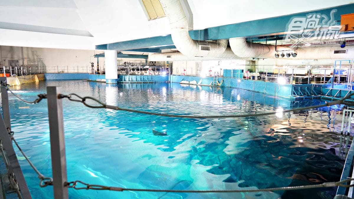 「全台最大水族館」最強攻略!4種隱藏版玩法:夜宿海生館、全台唯一餵企鵝(中獎公布) 「全台最大水族館」最強攻略!4種隱藏版玩法:夜宿海生館、全台唯一餵企鵝(中獎公布)