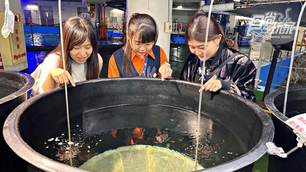 「全台最大水族館」最強攻略!4種隱藏版玩法:夜宿海生館、全台唯一餵企鵝(中獎公布) 「全台最大水族館」最強攻略!4種隱藏版玩法:夜宿海生館、全台唯一餵企鵝(中獎公布)