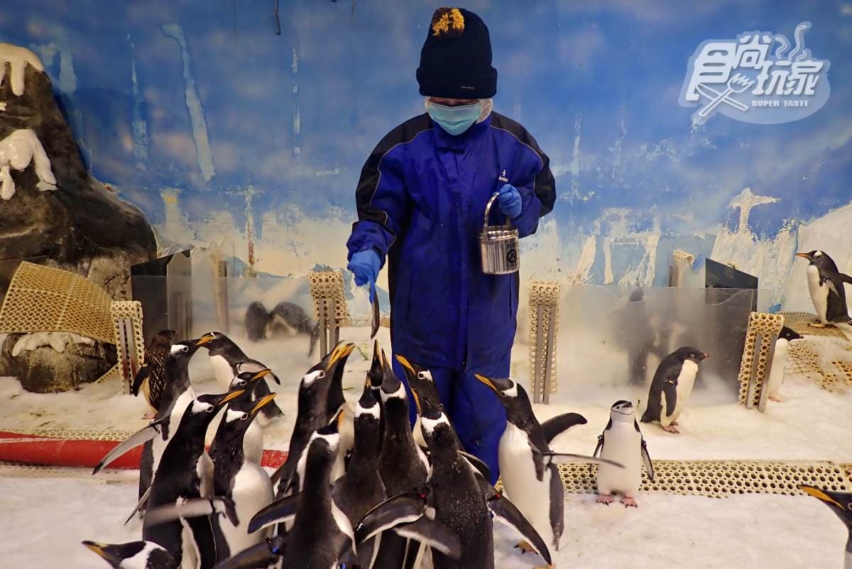 「全台最大水族館」最強攻略!4種隱藏版玩法:夜宿海生館、全台唯一餵企鵝(中獎公布) 「全台最大水族館」最強攻略!4種隱藏版玩法:夜宿海生館、全台唯一餵企鵝(中獎公布)