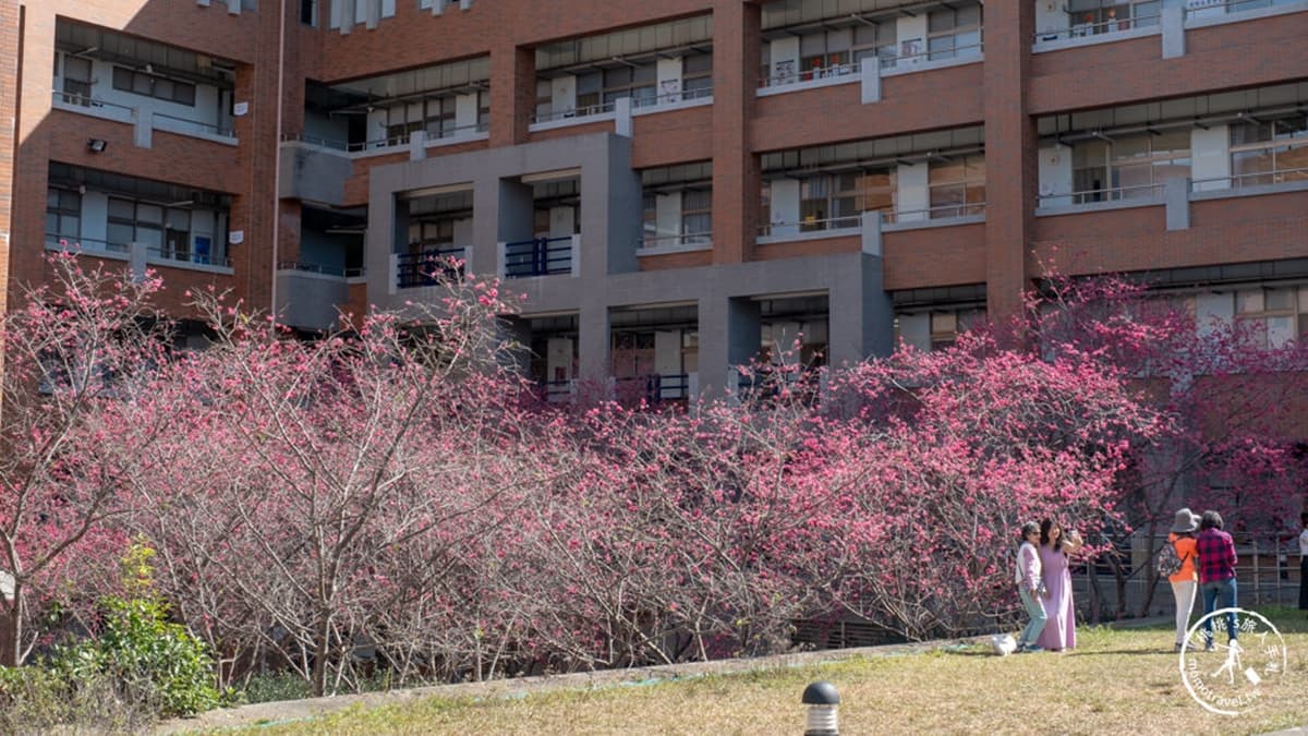 國立暨南國際大學