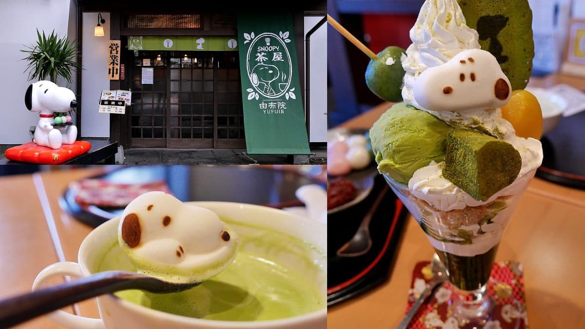 全日本第一家「史努比茶屋」!開箱「超萌甜點+限定周邊」,史努比粉必訪