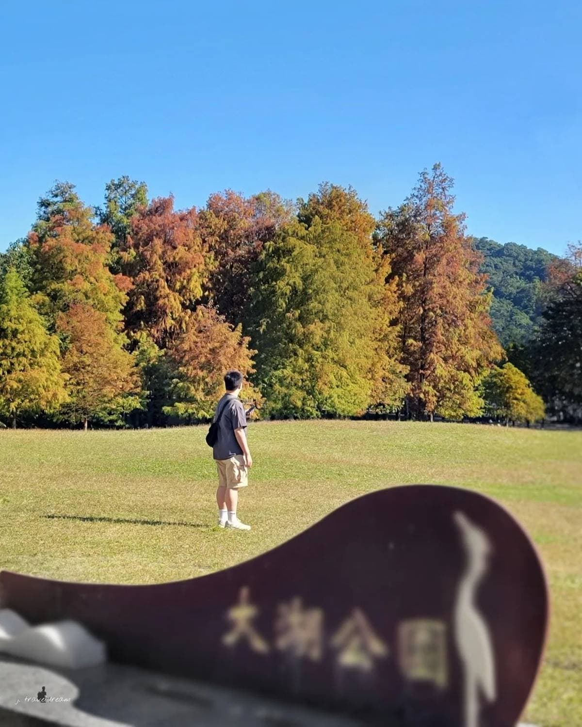 即時美景報你知!全台最美漸層落羽松TOP10:4萬坪莊園祕境、夢幻湖泊倒影 即時美景報你知!全台最美漸層落羽松TOP10:4萬坪莊園祕境、夢幻湖泊倒影