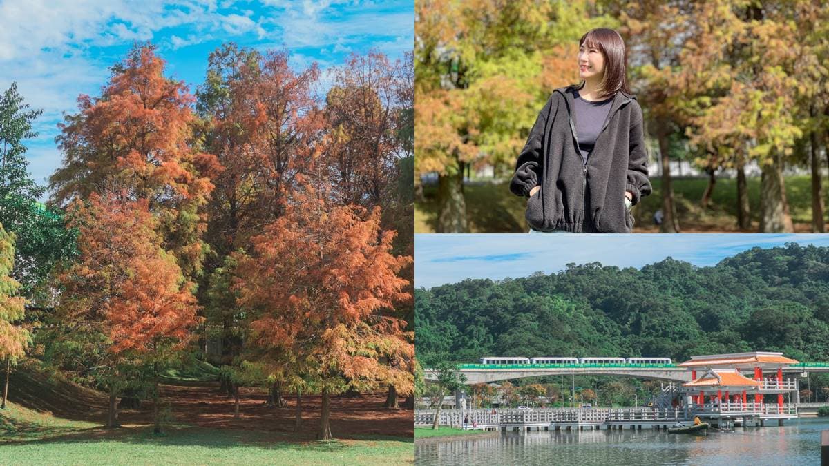 即時美景報你知!全台最美漸層落羽松TOP10:4萬坪莊園祕境、夢幻湖泊倒影 即時美景報你知!全台最美漸層落羽松TOP10:4萬坪莊園祕境、夢幻湖泊倒影