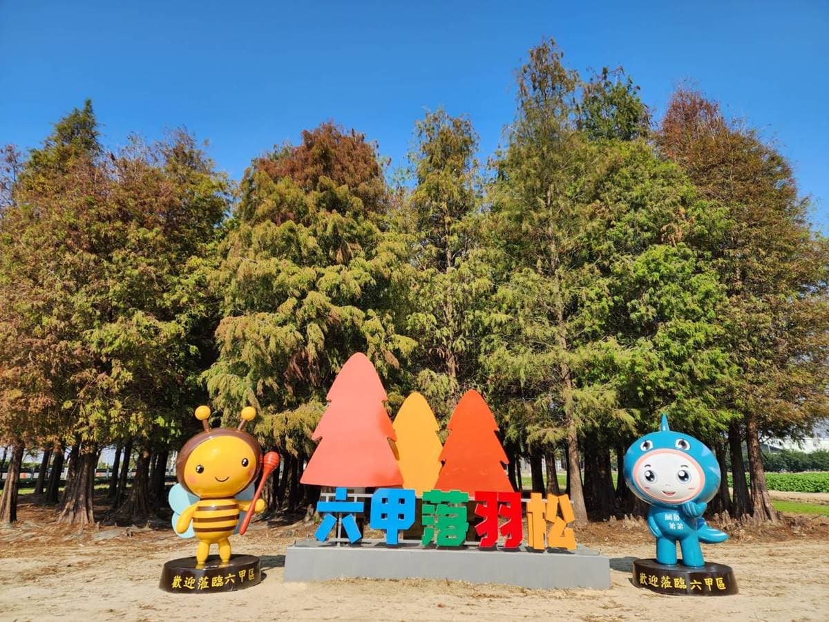 即時美景報你知!全台最美漸層落羽松TOP10:4萬坪莊園祕境、夢幻湖泊倒影 即時美景報你知!全台最美漸層落羽松TOP10:4萬坪莊園祕境、夢幻湖泊倒影