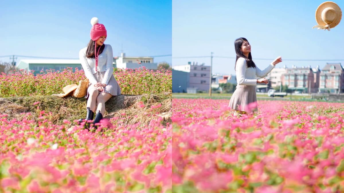 全台唯一「紅色蕎麥花海」祕境在這!近3000坪堪稱全台最大,免費開放拍到飽
